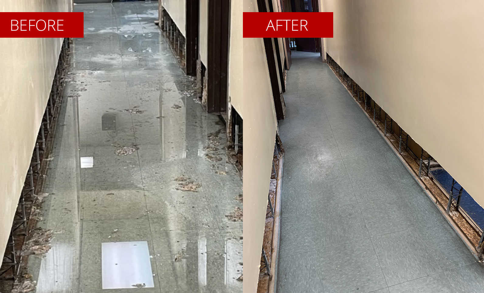 Mold Remediation Disinfection and Sanitization